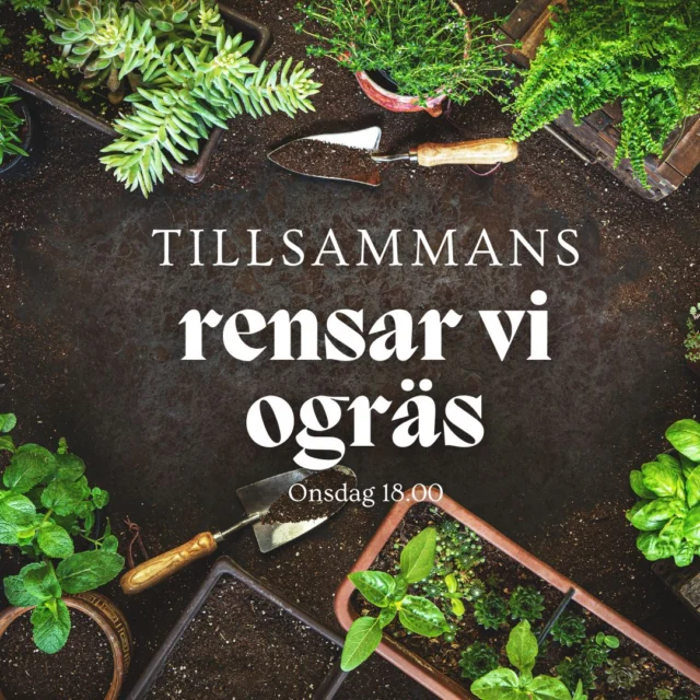 Det spirar och gror i naturen! Vi träffas och gör snyggt runt kyrkan tillsammans.